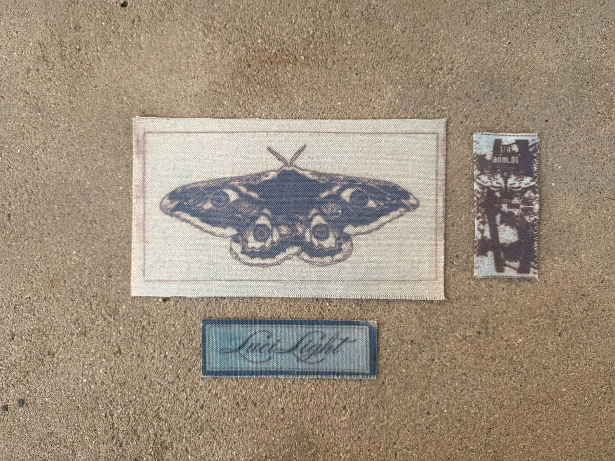 Moth .01/04