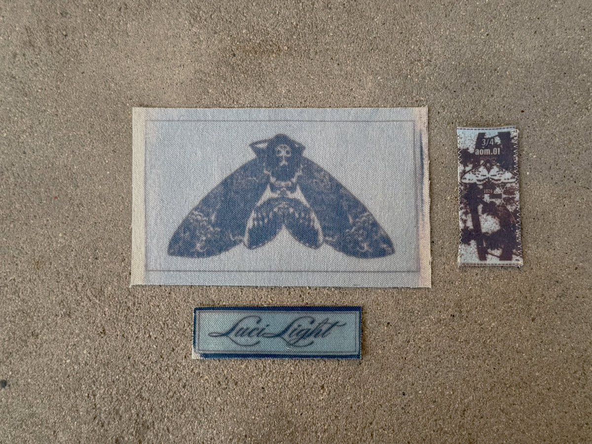 Moth .03/04