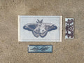 Moth Patch 4/4