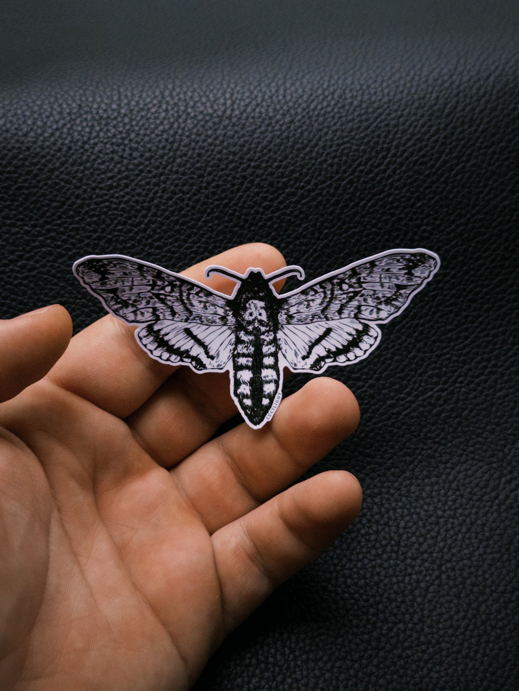 Moth Sticker - Semnatura