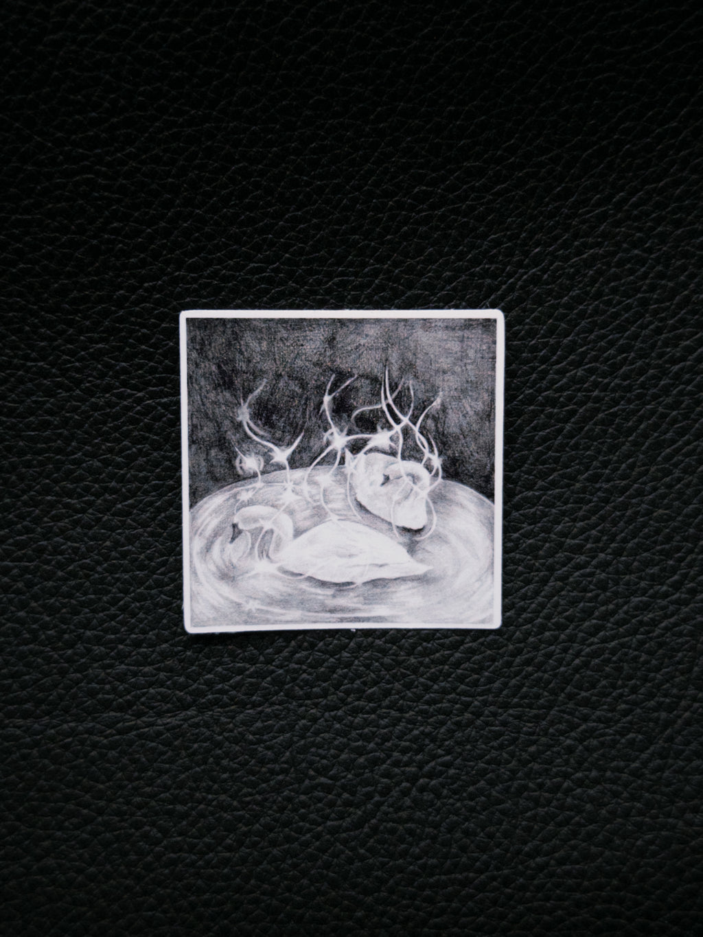 Swans Sticker