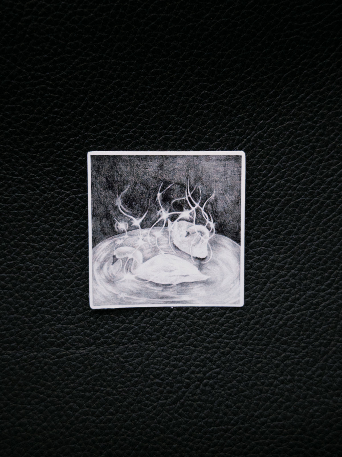 Swans Sticker