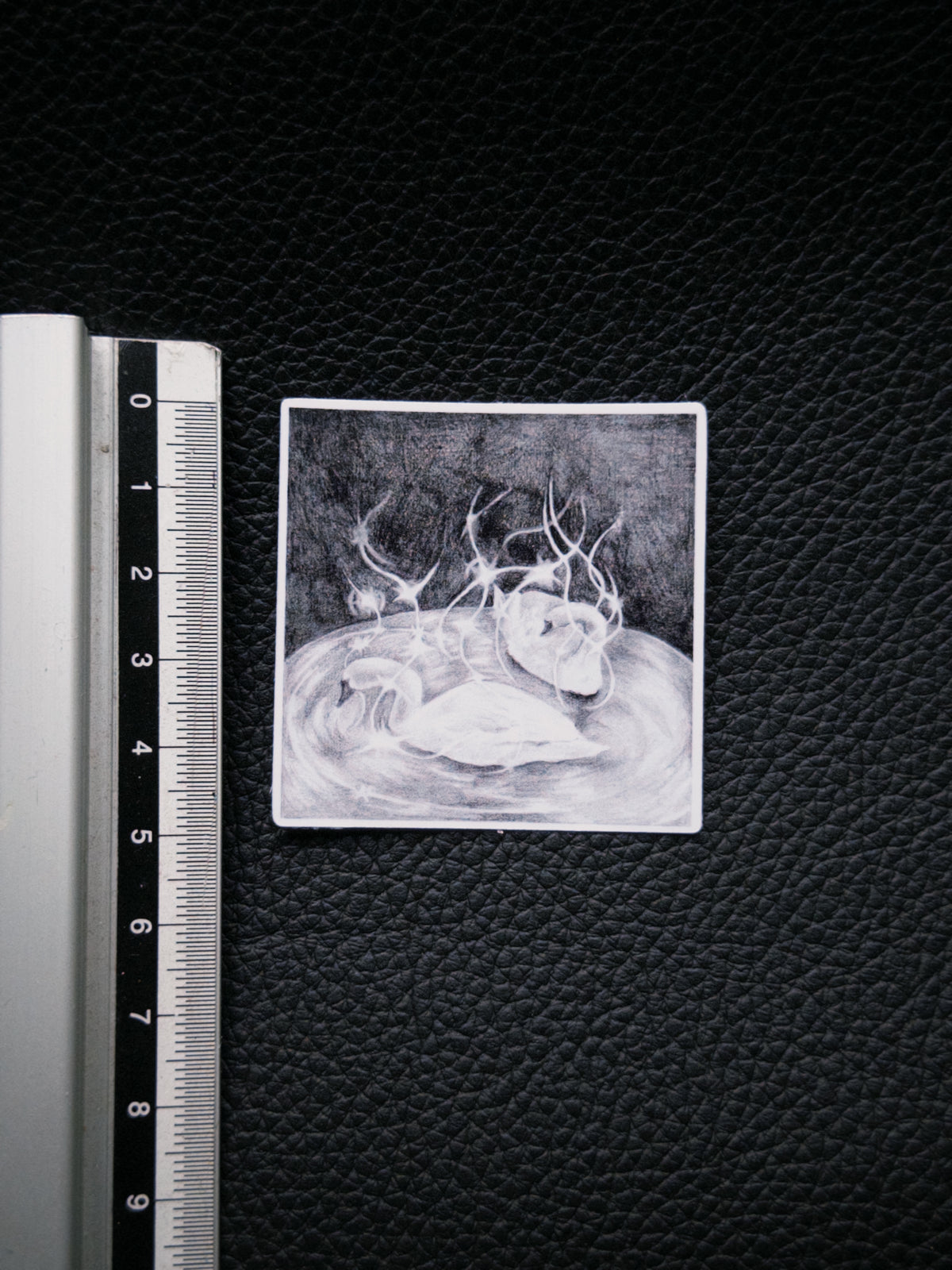 Swans Sticker